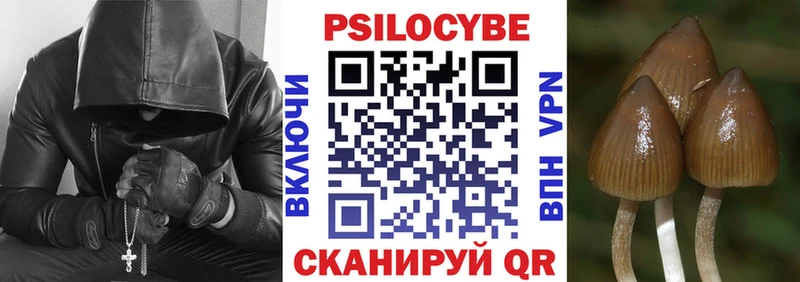 OMG ссылка  Циолковский  Галлюциногенные грибы Psilocybine cubensis 